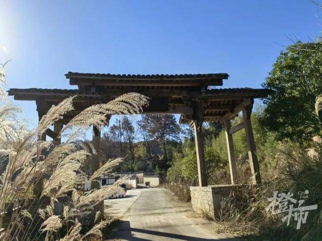 文章配图-1