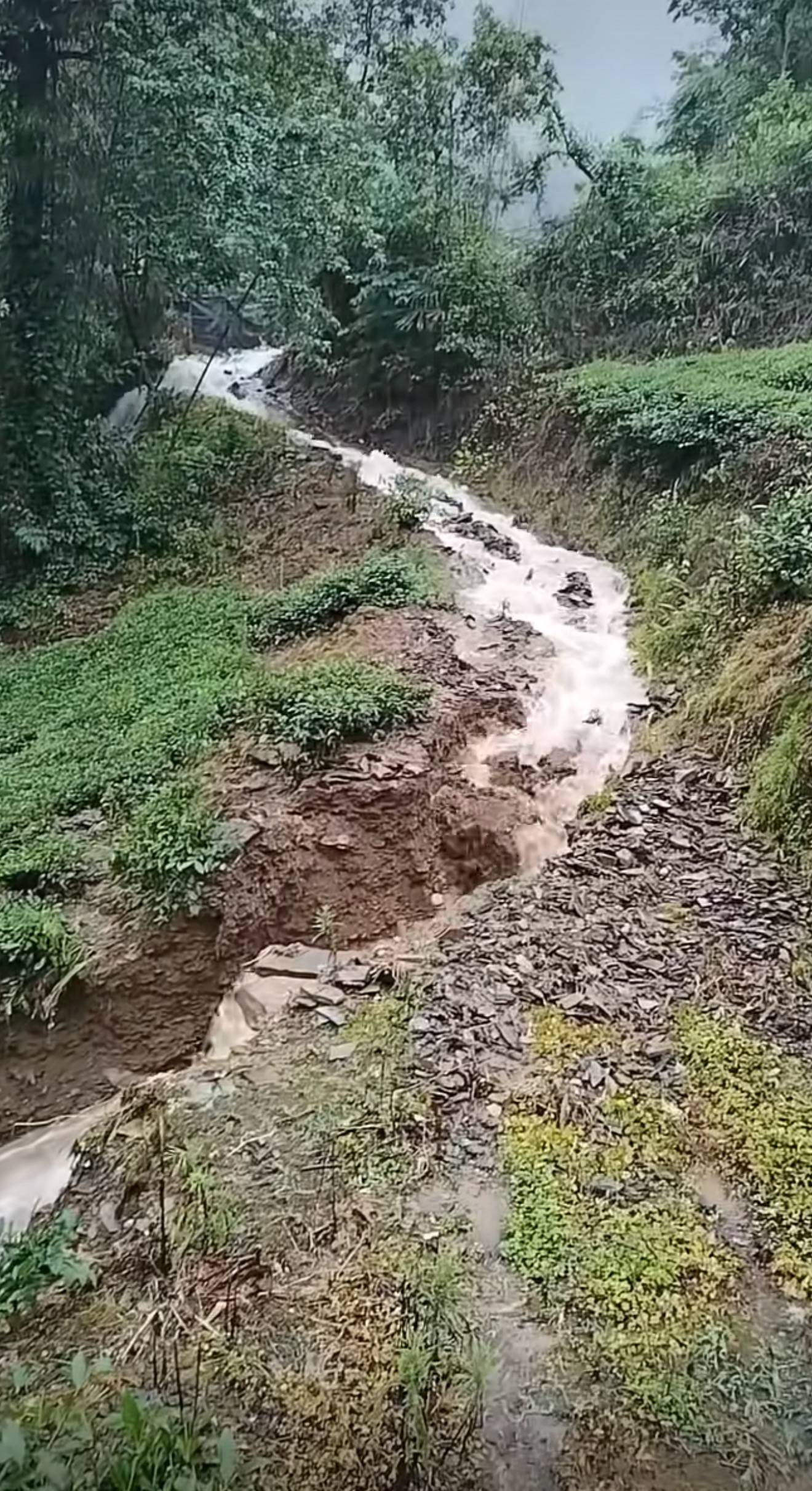 暴雨下的石门金河村：洪水两次来袭“几秒就到”，滑坡泥石流齐发
