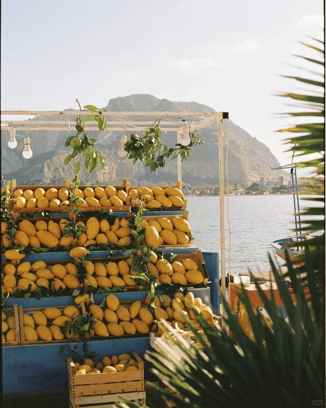 文章配圖-7
