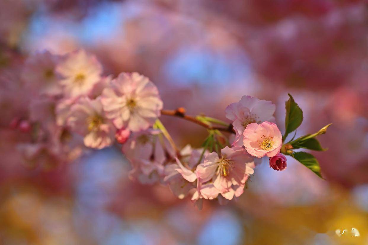 原创            男人有这五个表现，不是单纯喜欢你，而是爱到骨子里了