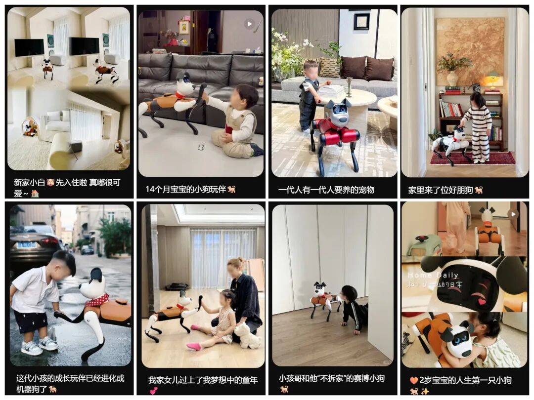 文章配图-3