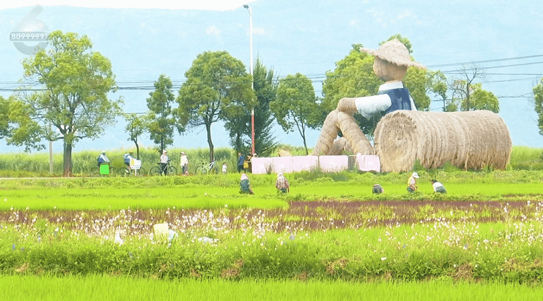 文章配图-2