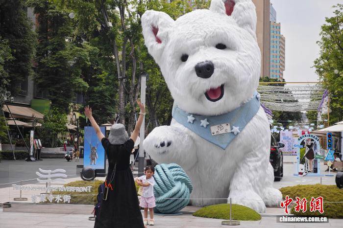 成都：大型萌犬艺术装置亮相街头