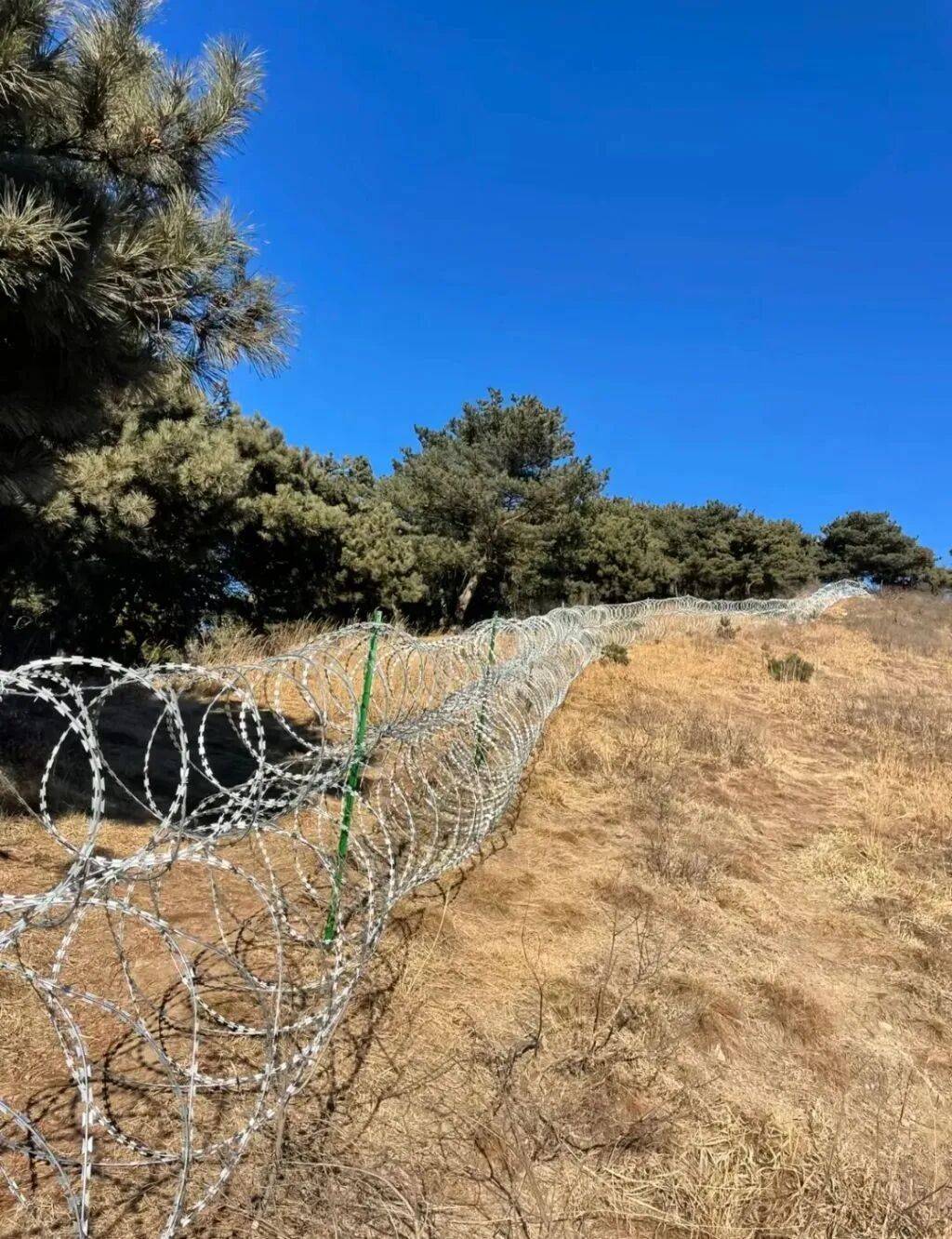 “泰山景区刀片式隔离网”，将拆除或替代