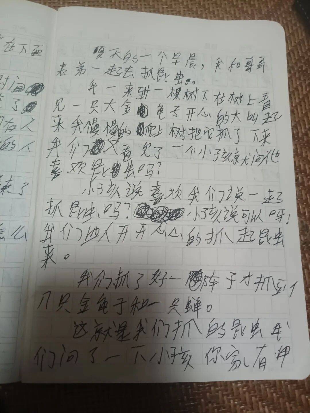 抓昆虫