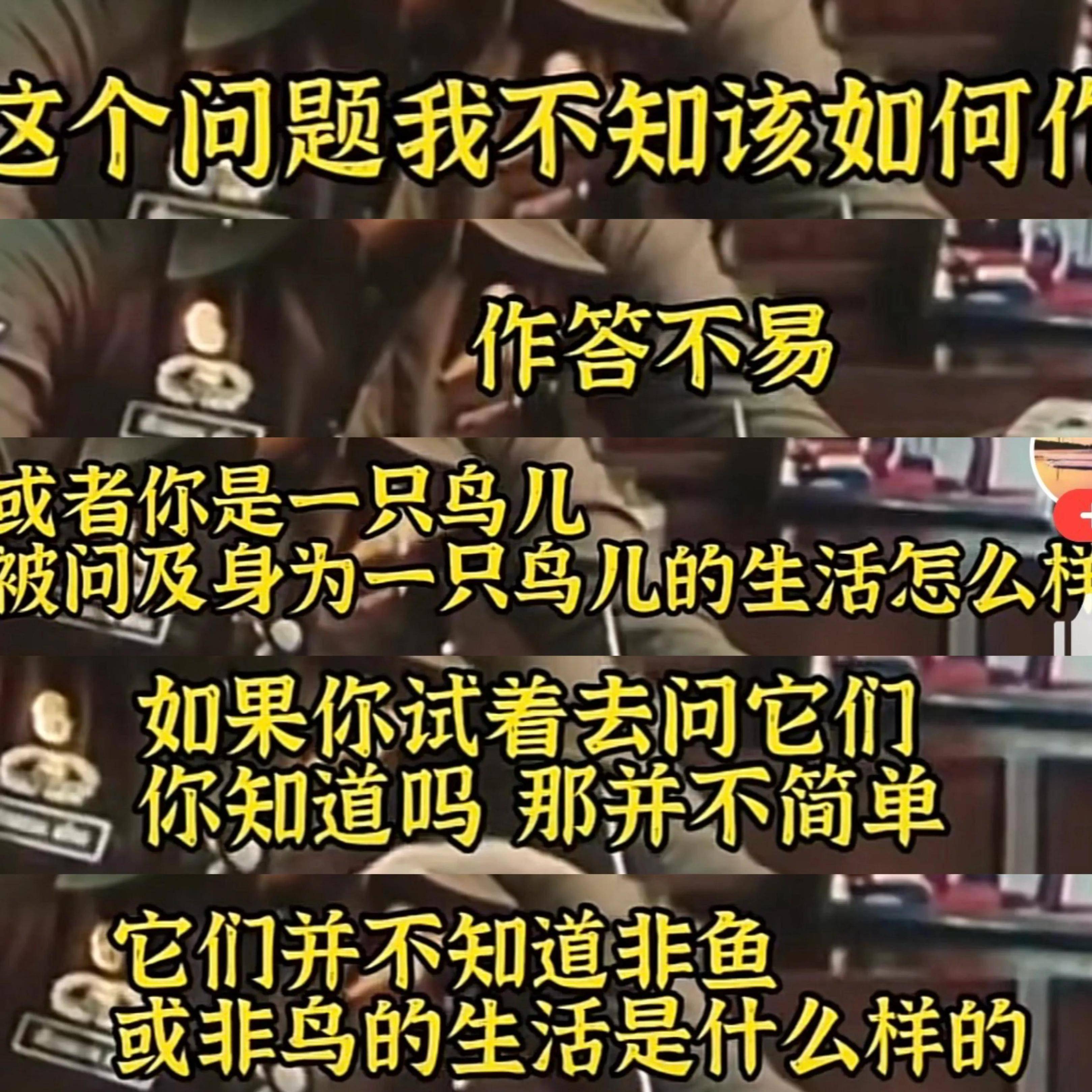 文章配图-2