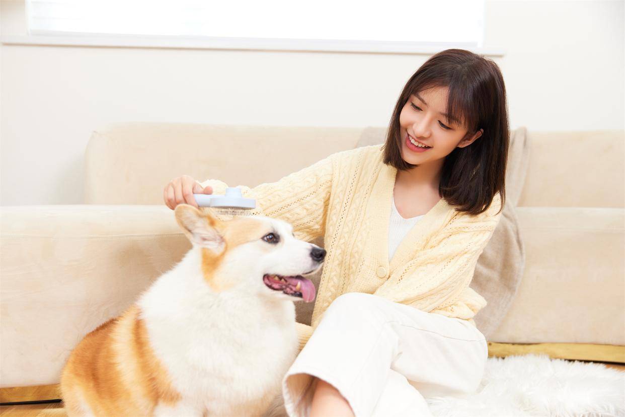 《本草有方》栏目里的"协和心血活力