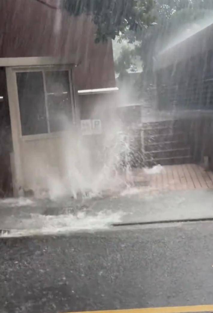 上海极端强降雨