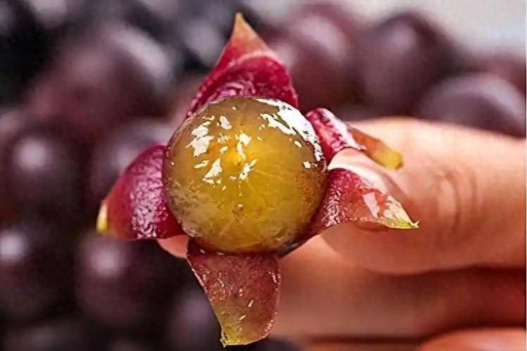 原创            葡萄再次被关注，医生发现：糖尿病人吃葡萄，不用多久或有4变化