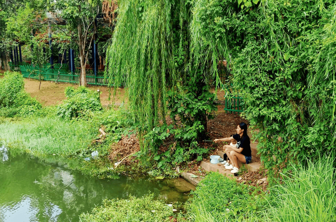 赣水暑钓大草鱼