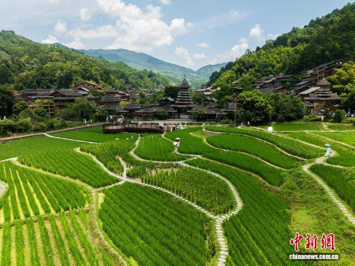 文章配图-1
