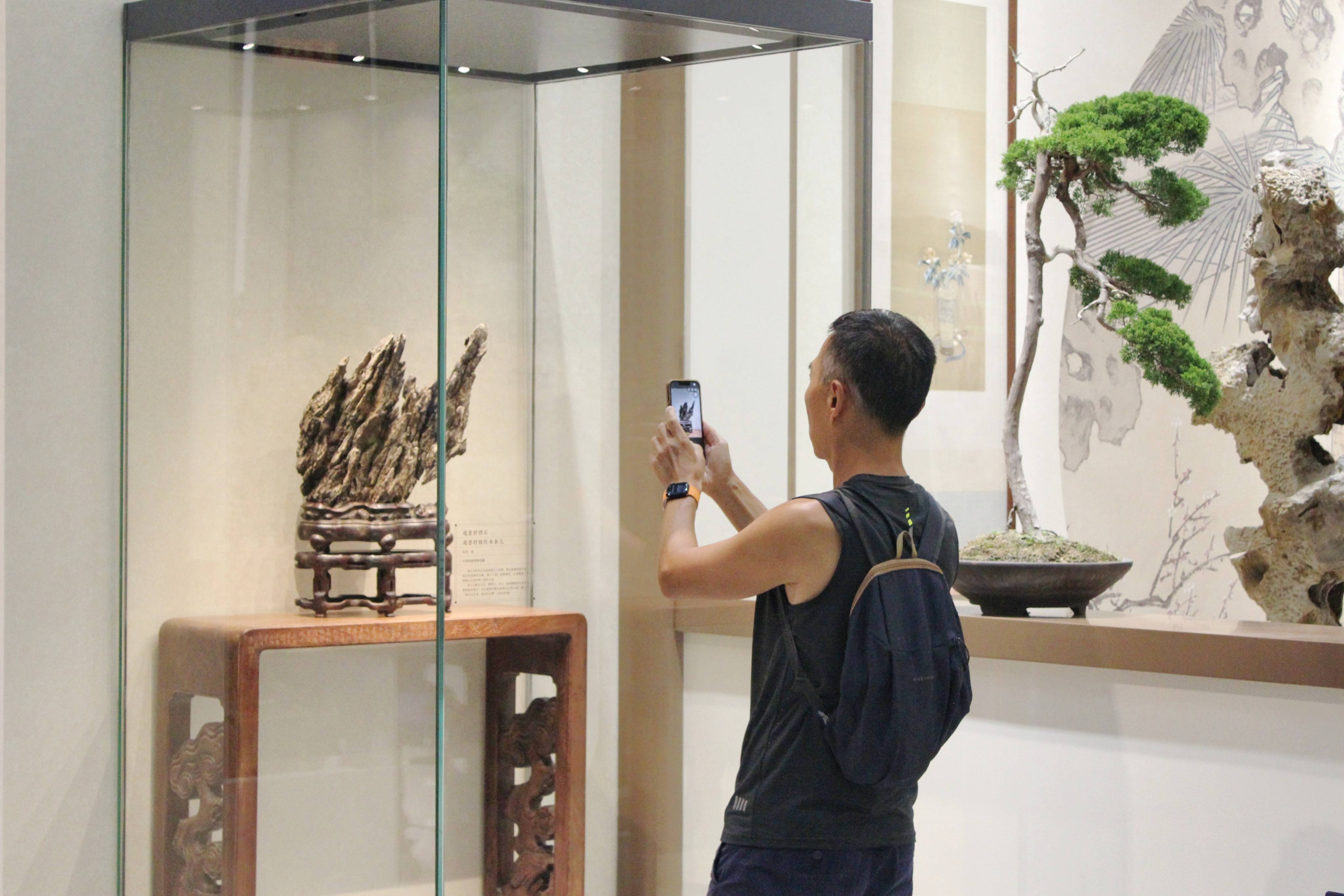 中国园林博物馆“盆景赏石艺术展”开幕，300余件展品呈现山水意趣