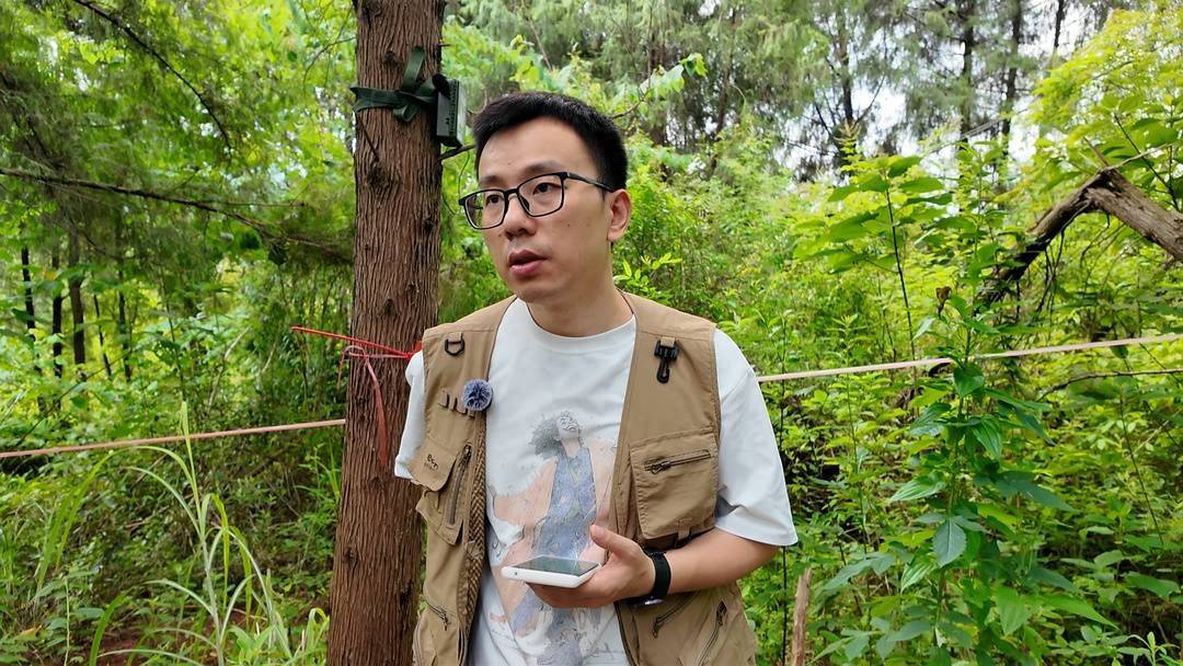 龙泉山上的“森林听诊器”｜封面头条
