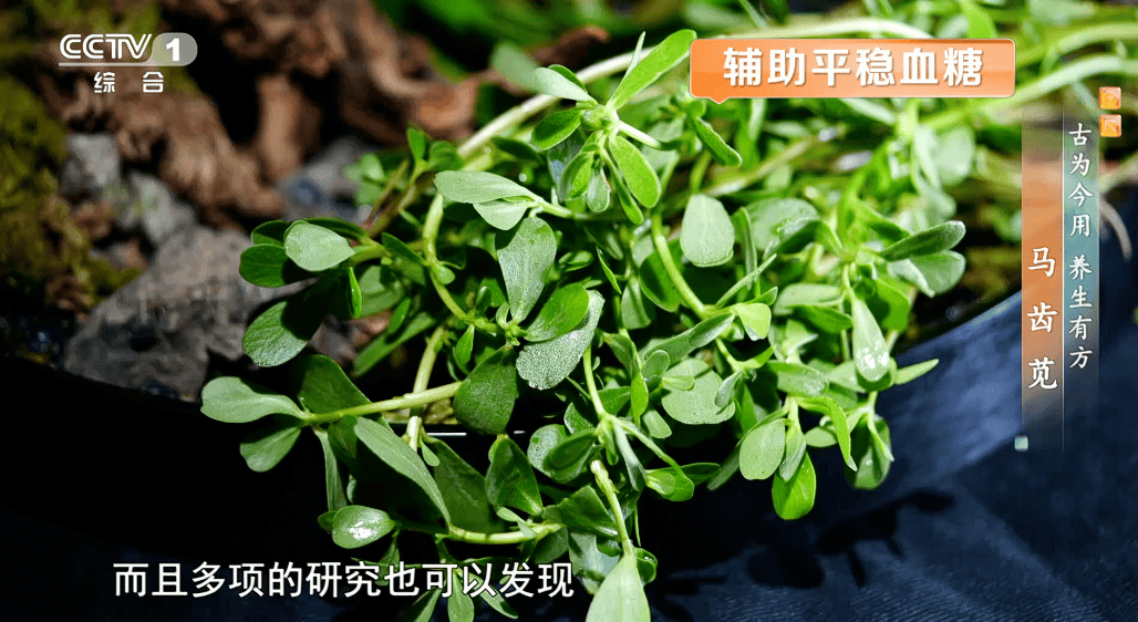 早安 | 它被称为“长寿菜”！能护心调脂、抗炎祛湿