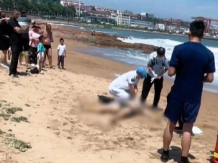 暑期带娃去海边,这份安全指南请先收藏_海浪_离岸_礁石