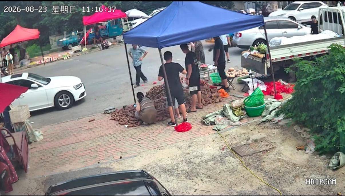 女子砸西瓜被拍到车牌不一致警方介入