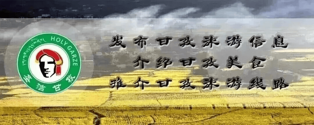 亮相香港！甘孜高原茶叶，赢得多国客商喜爱
