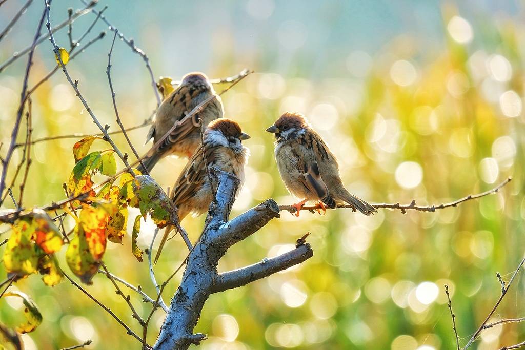 ������ͼ-1