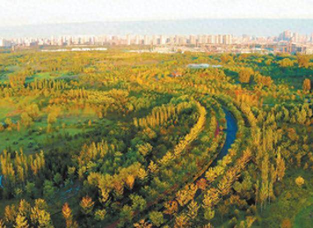 北京城市绿心森林公园：最好的更新是土地重获呼吸