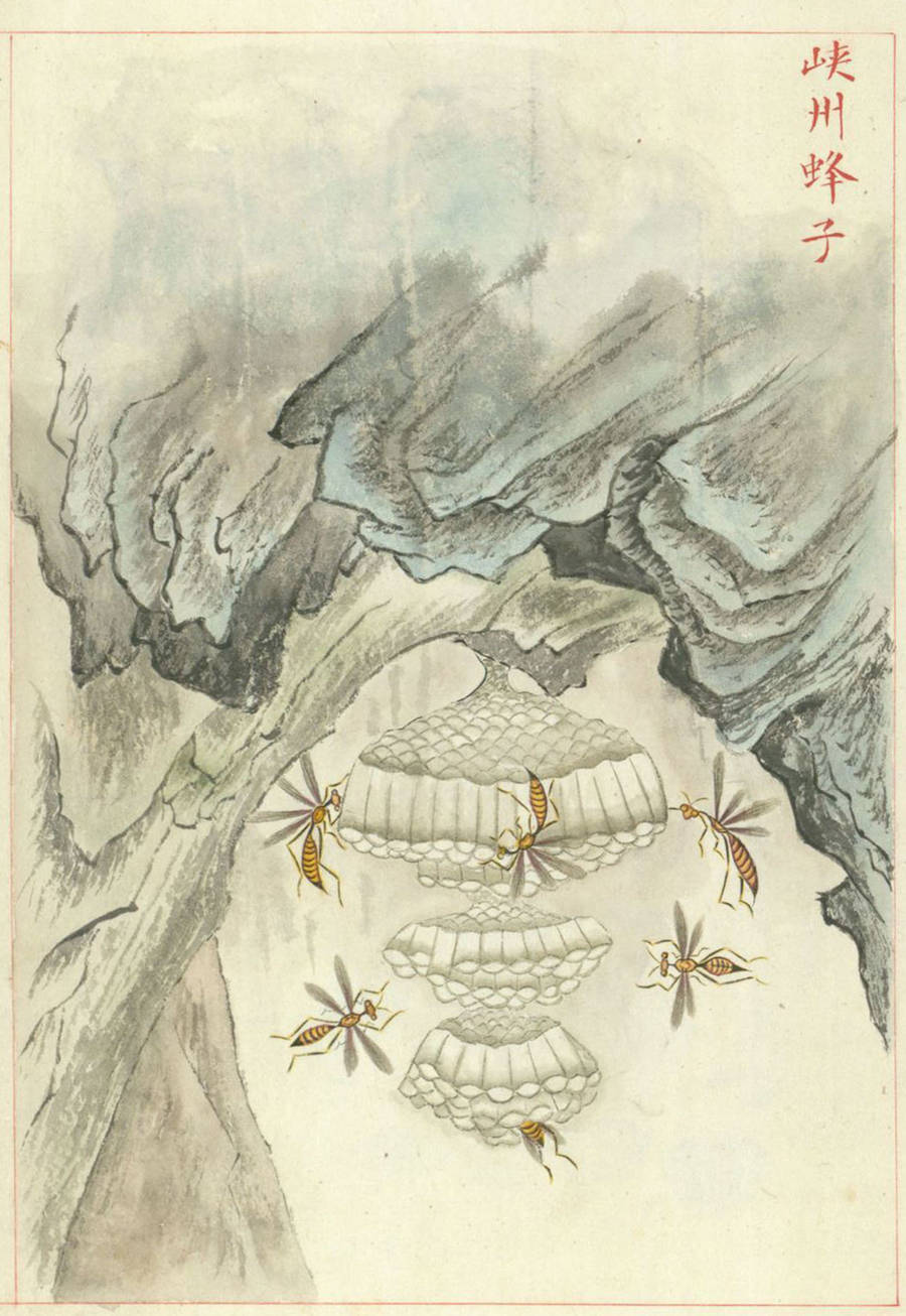 文章配图-1