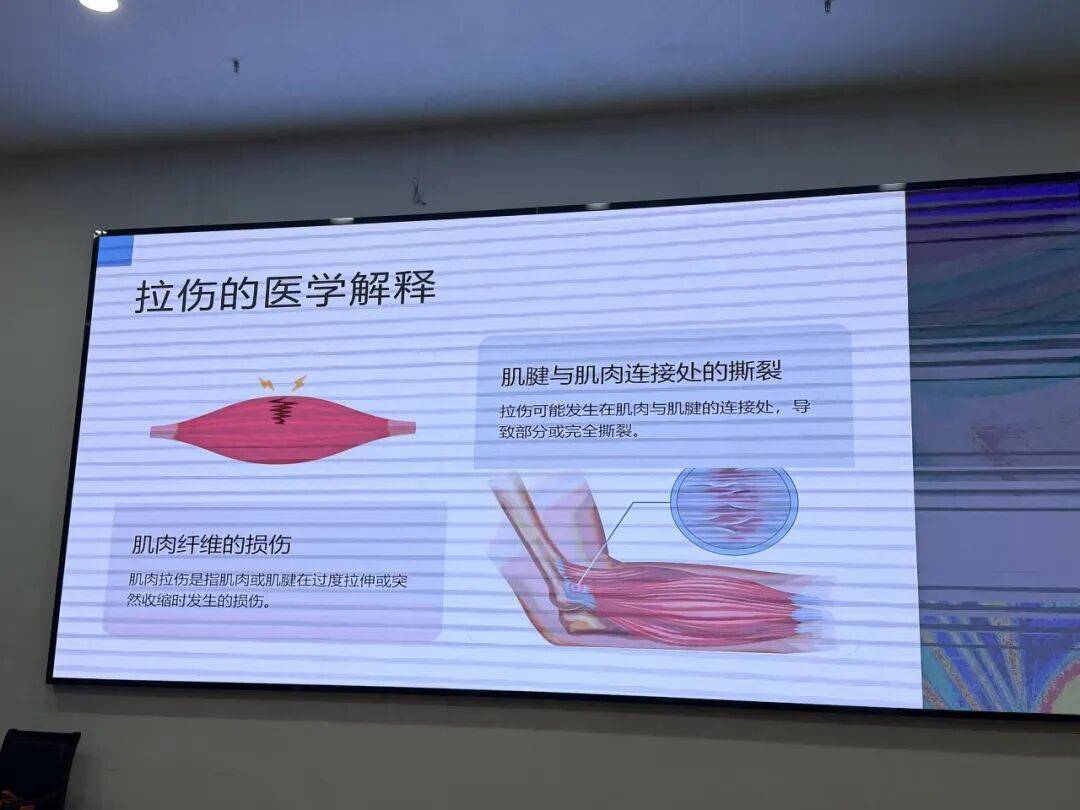 拳击比赛视频在哪下载