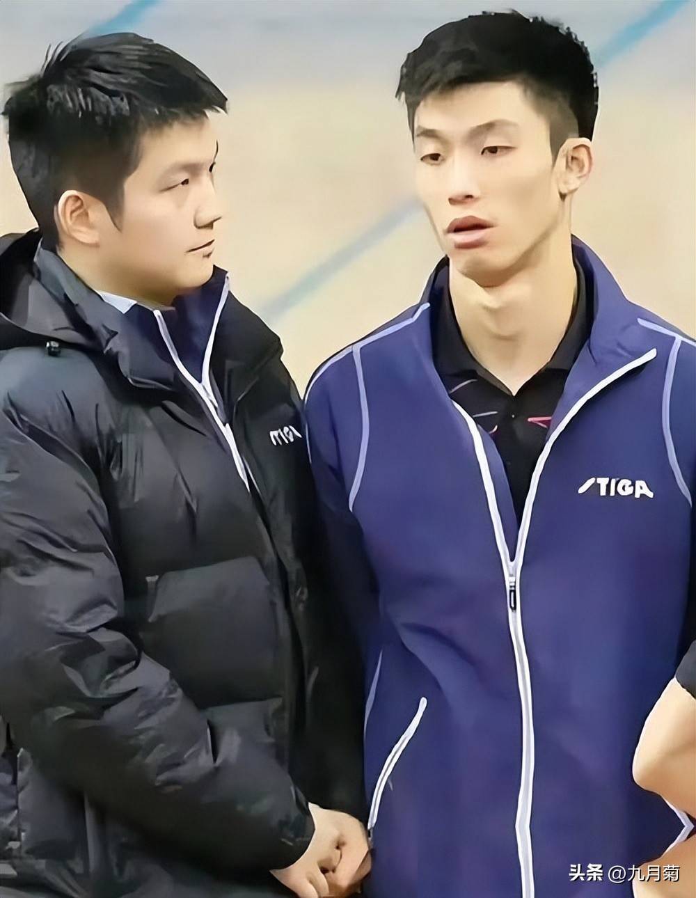 樊振东 vs 马龙