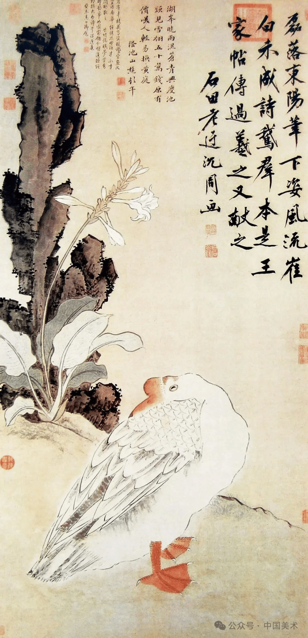 文章配图-1