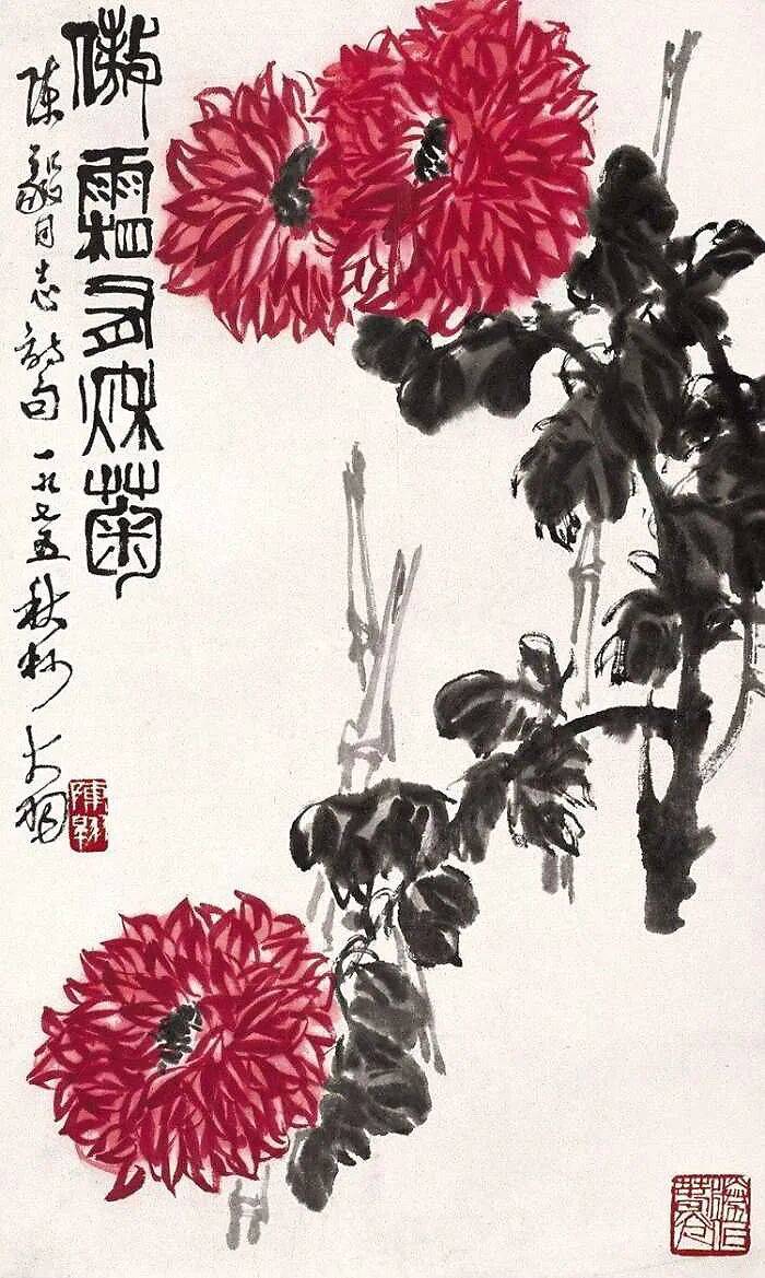 文章配图-6
