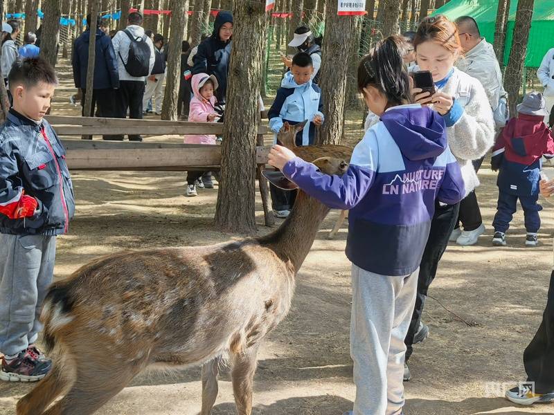 高山云海呼和浩特__呼和浩特高山草原在哪里