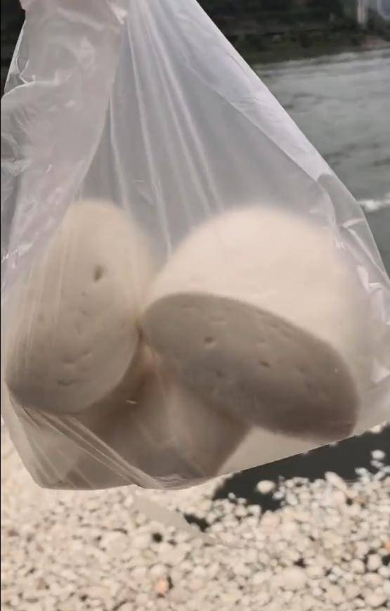 宜宾合江门喂鱼:馒头漂浮太多鱼吃不完,游客扎堆(图2) 宜宾合江门喂鱼:馒头漂浮太多鱼吃不完,游客扎堆(图2)