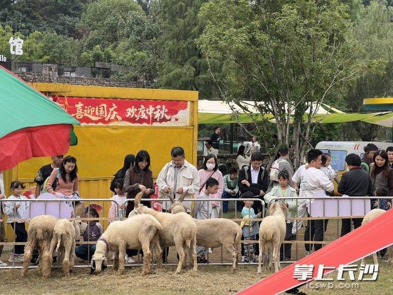 长沙动物园国庆人多吗?连阴雨转晴,亲子打卡攻略看这里(图2) 长沙动物园国庆人多吗?连阴雨转晴,亲子打卡攻略看这里(图2)