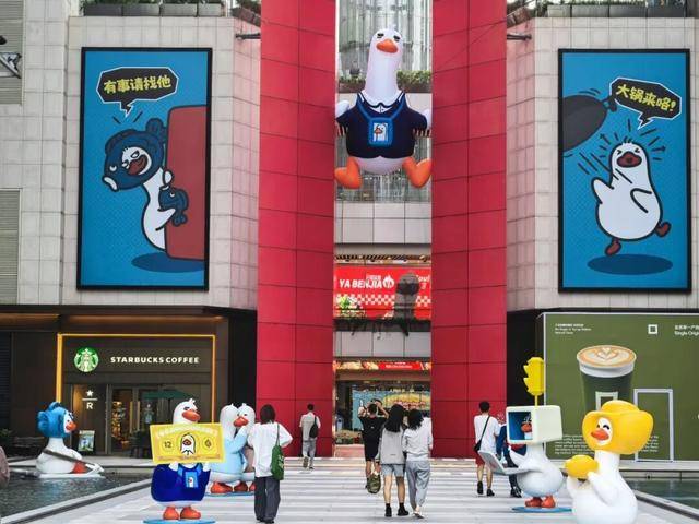 文章配图-3