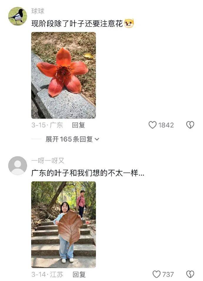果然南方只有人小，其他什么都大！[11P]