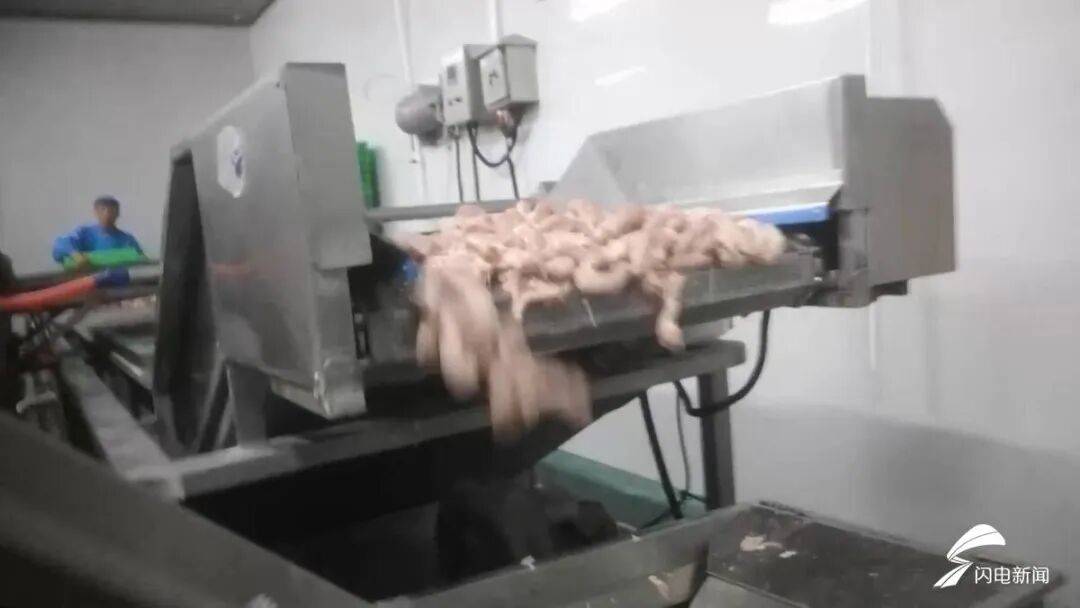 多家工厂被曝用鸡脖泥做馅料，撒尿牛丸“牛肉味纯靠牛肉膏”！厂家提醒：馅制品少吃