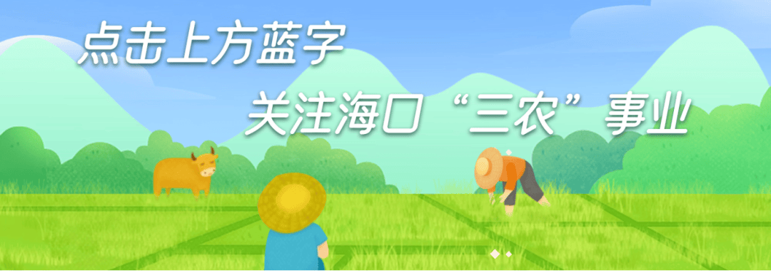一粒胡椒的“标准答案”