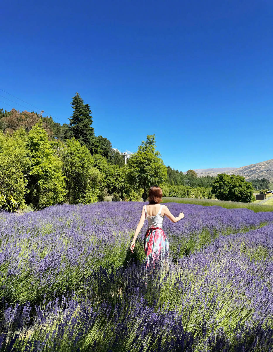 唐艺昕薰衣草花海悠闲漫步！绽放灿烂笑容心情大好