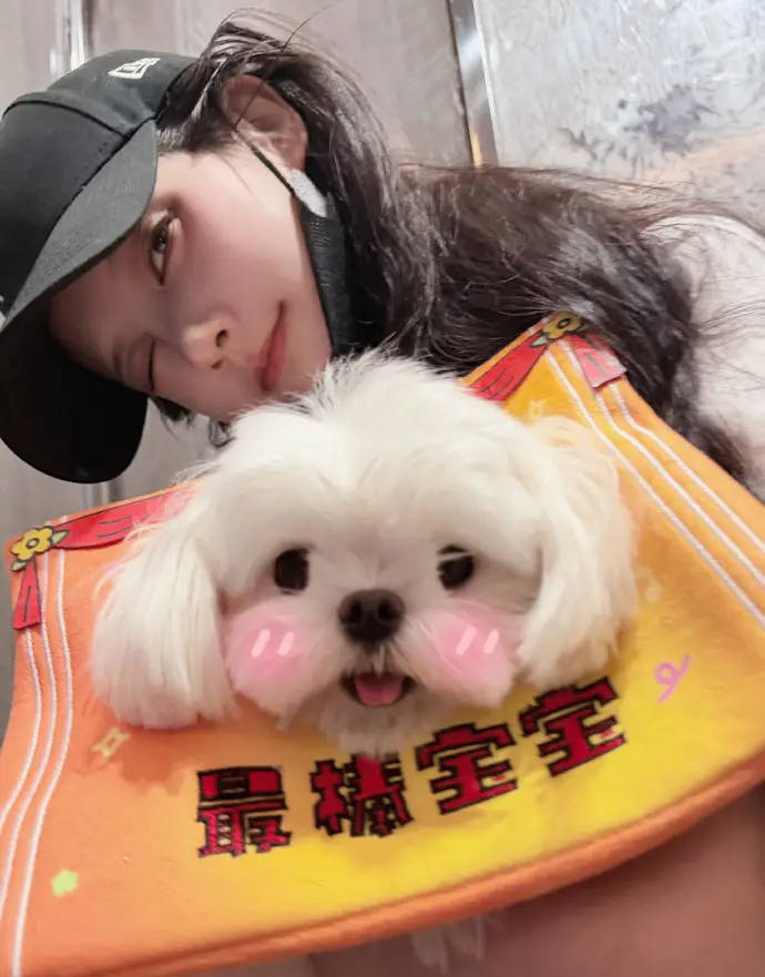 李一桐身穿彩色T恤配玄色短裙 怀抱小狗甜好意思可儿